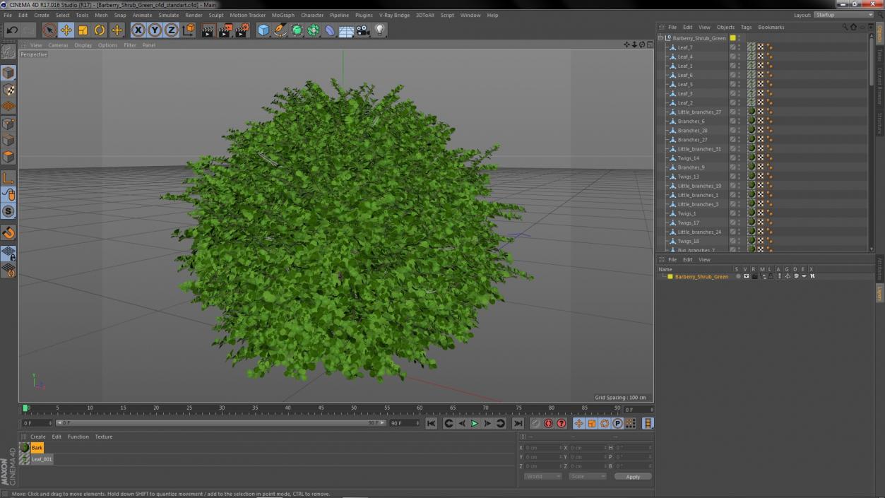 3D model Barberry Shrub Green