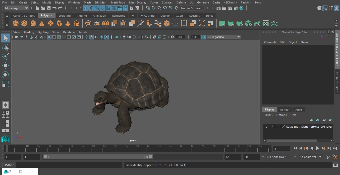 Galapagos Giant Tortoise 3D model