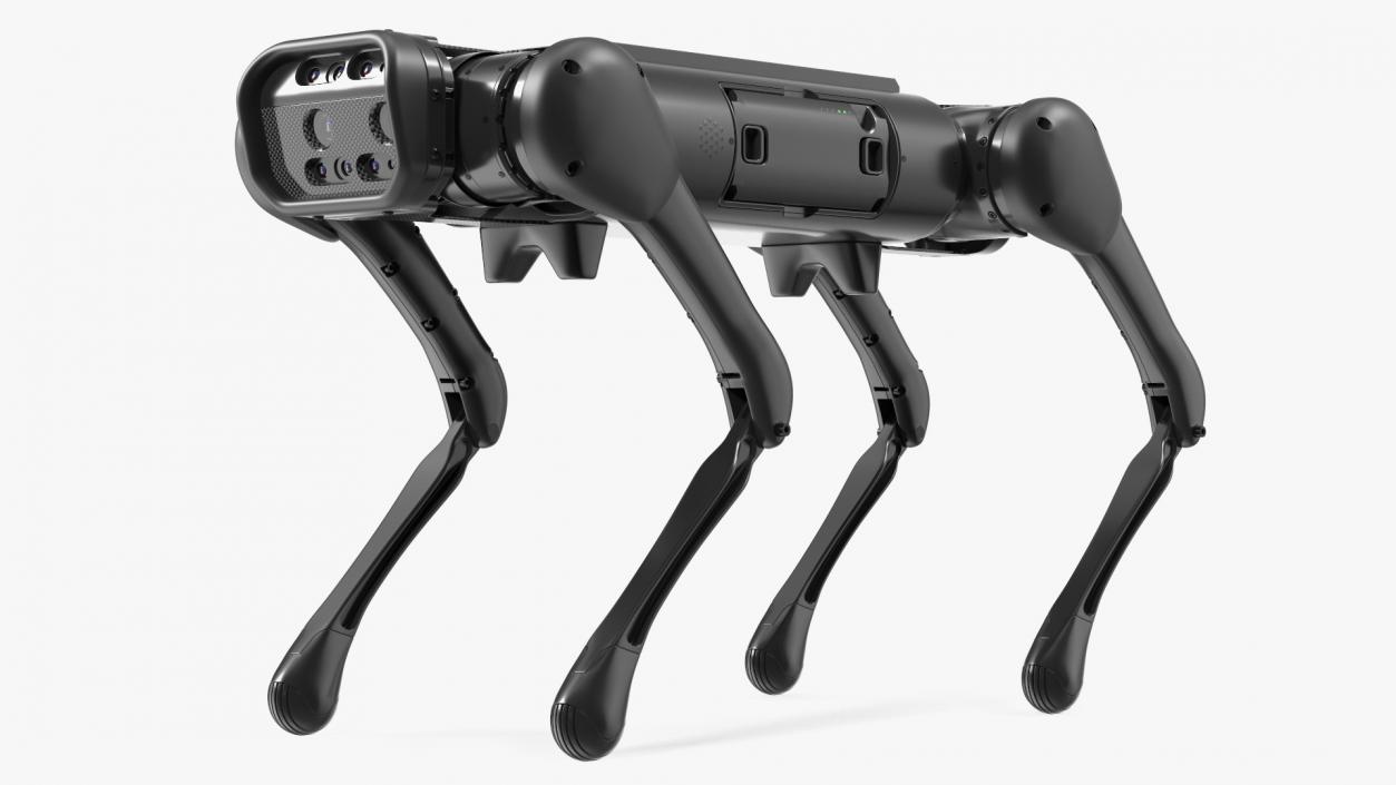 3D Robot Dog Rigged