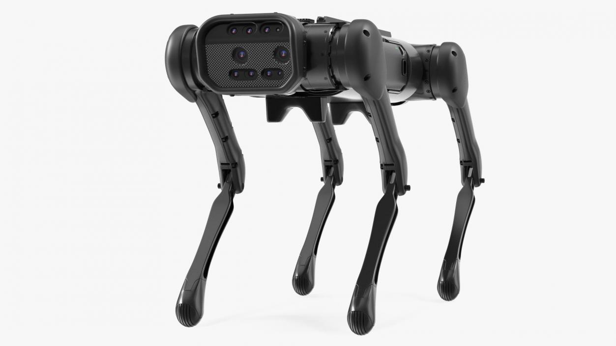 3D Robot Dog Rigged