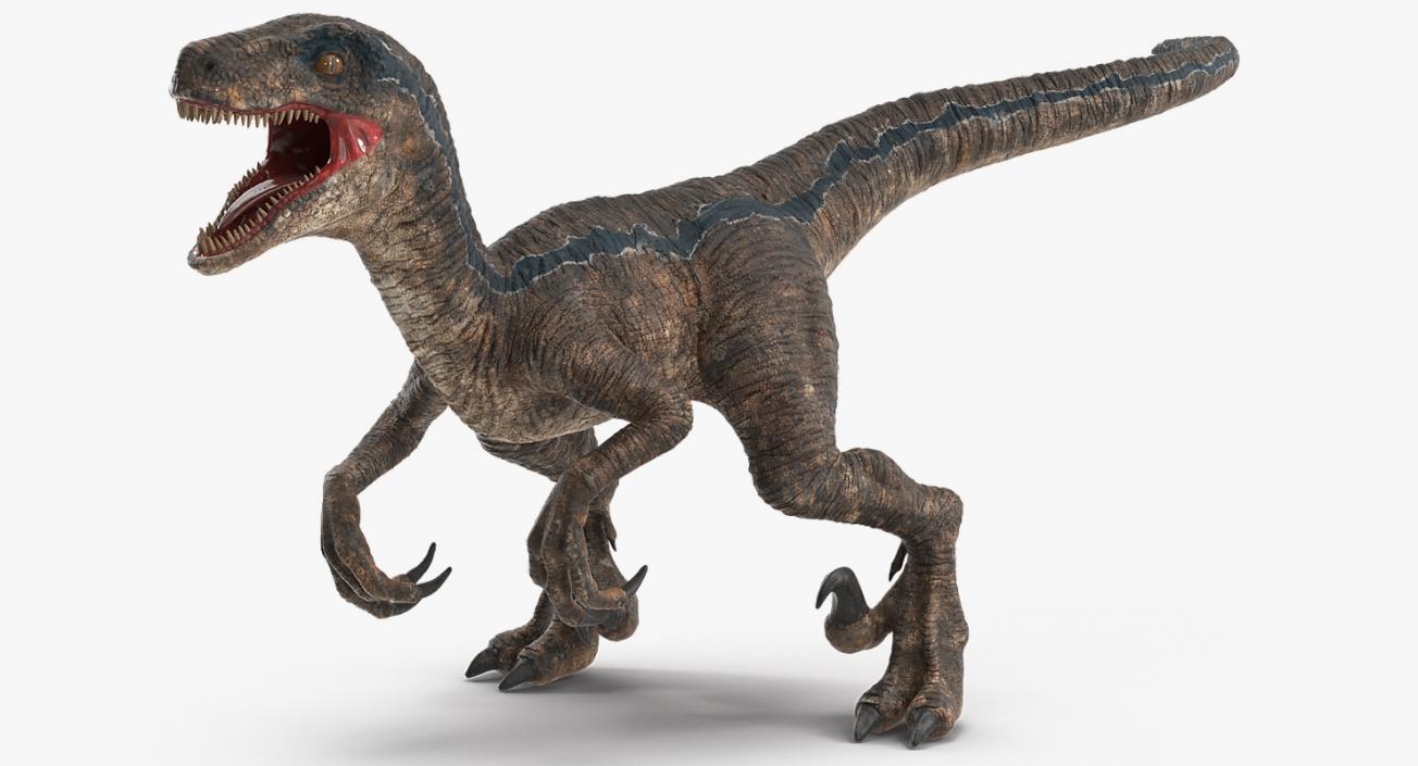 Velociraptor Attacking Pose 3D