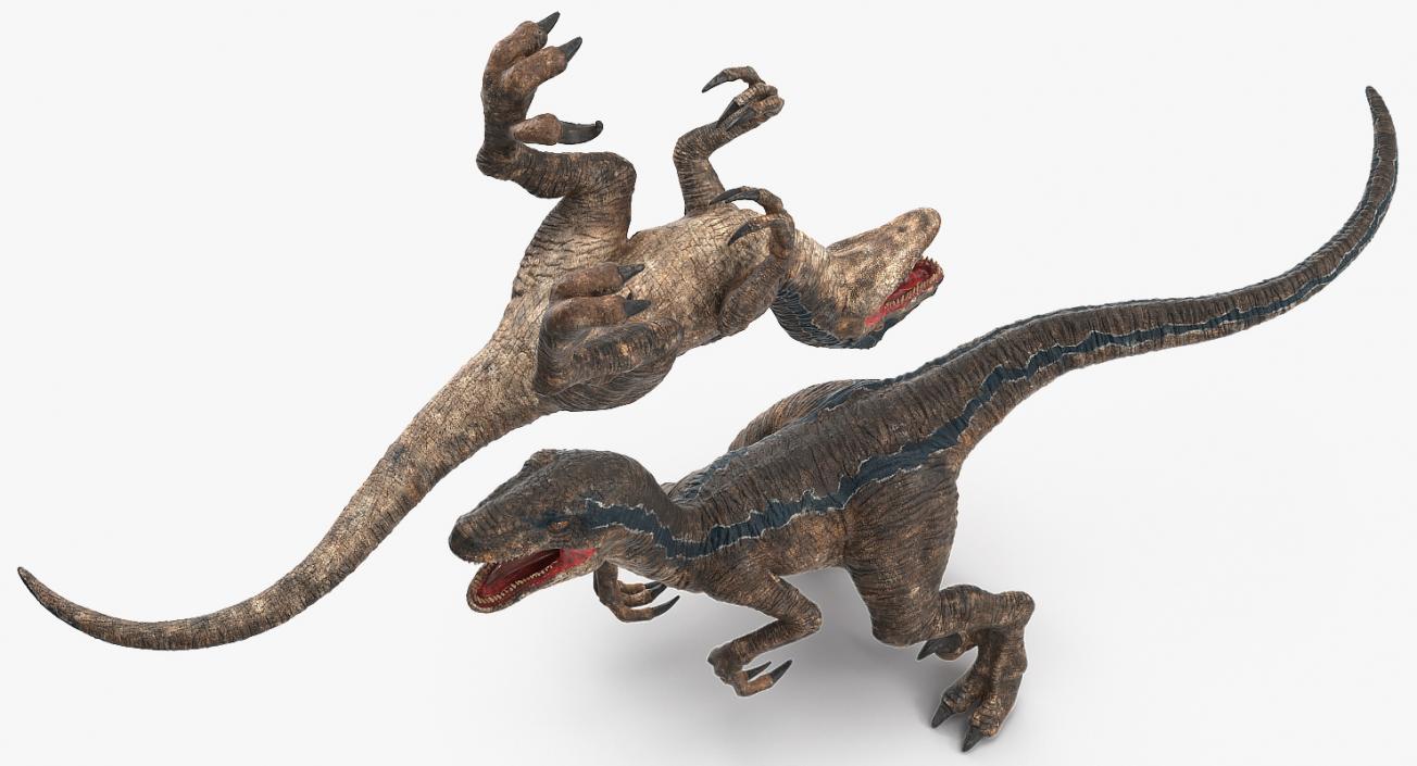 Velociraptor Attacking Pose 3D