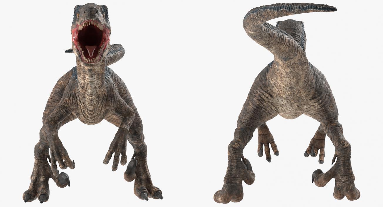 Velociraptor Attacking Pose 3D