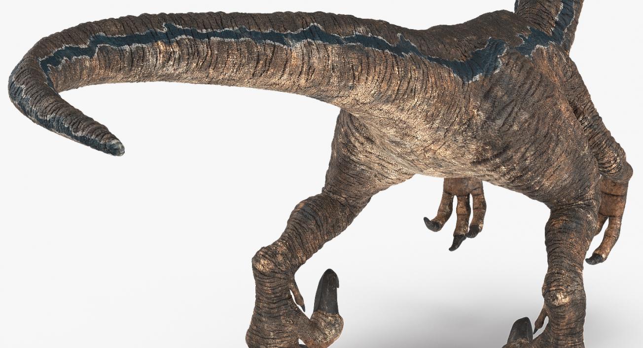 Velociraptor Attacking Pose 3D