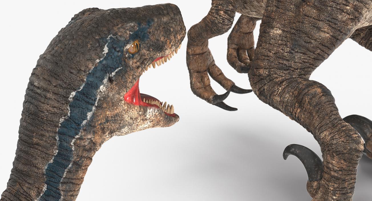 Velociraptor Attacking Pose 3D