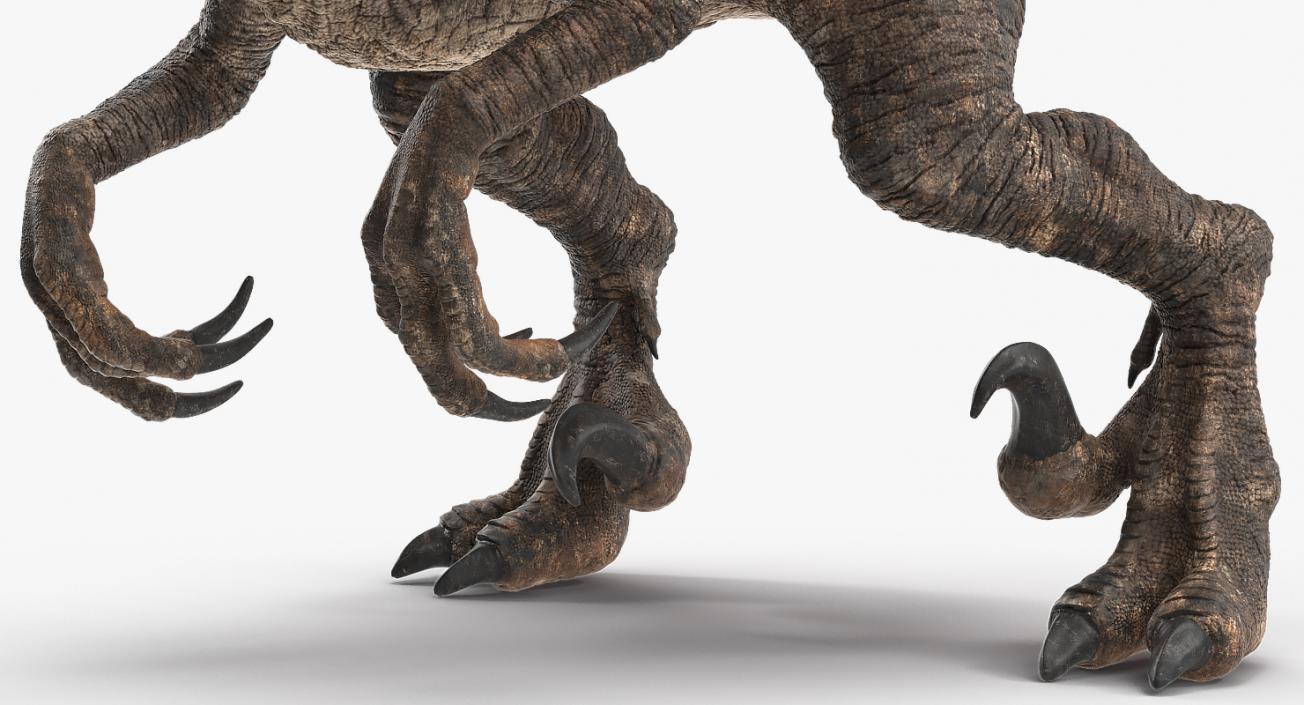 Velociraptor Attacking Pose 3D