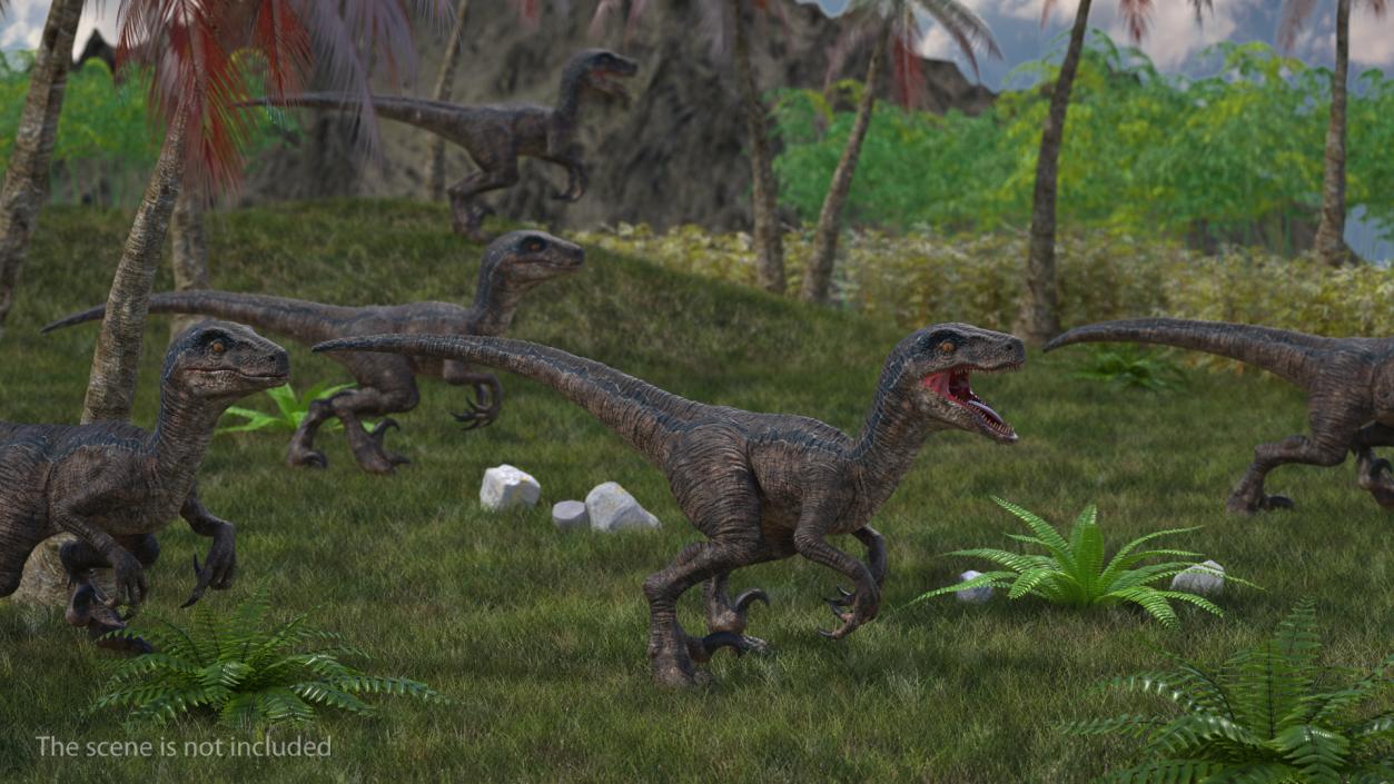 Velociraptor Attacking Pose 3D