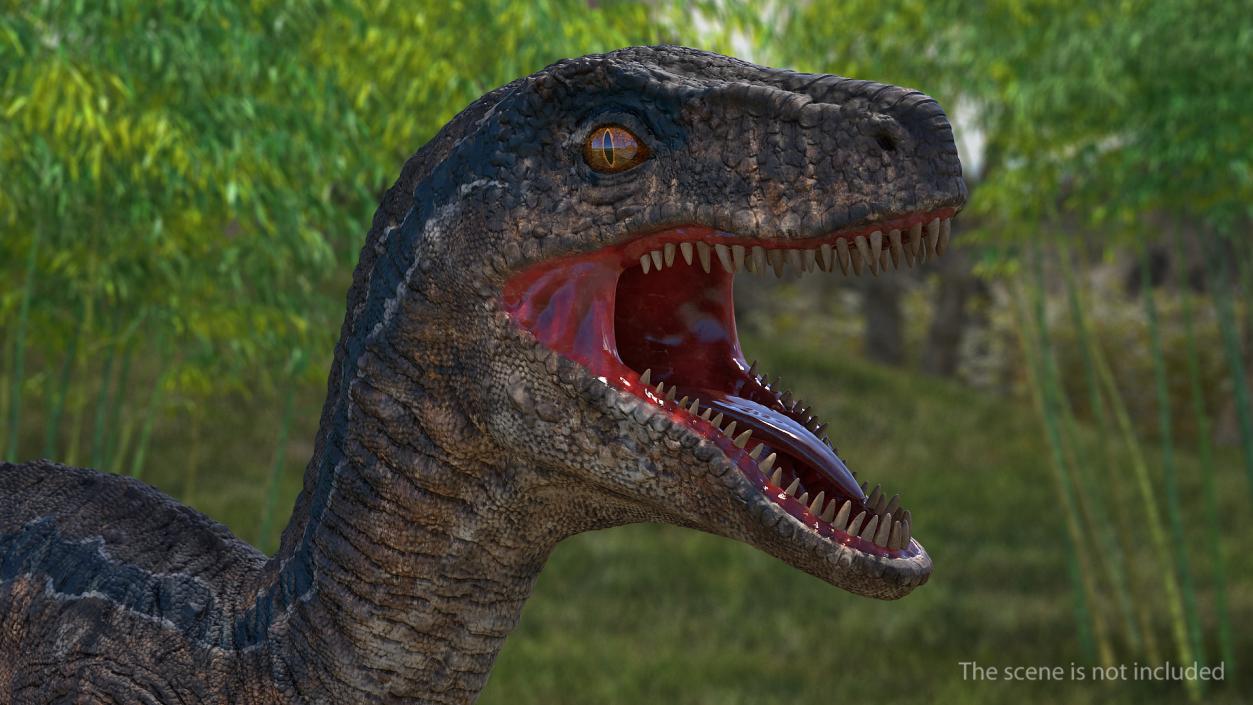 Velociraptor Attacking Pose 3D