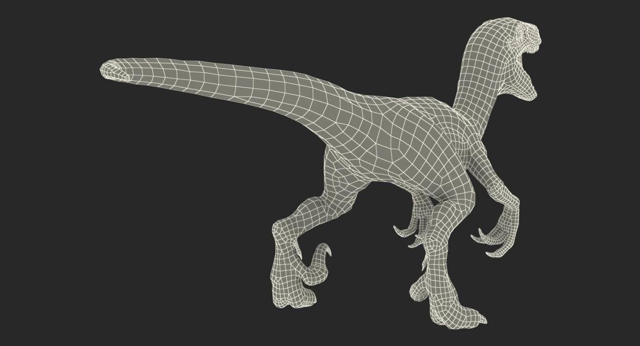 Velociraptor Attacking Pose 3D