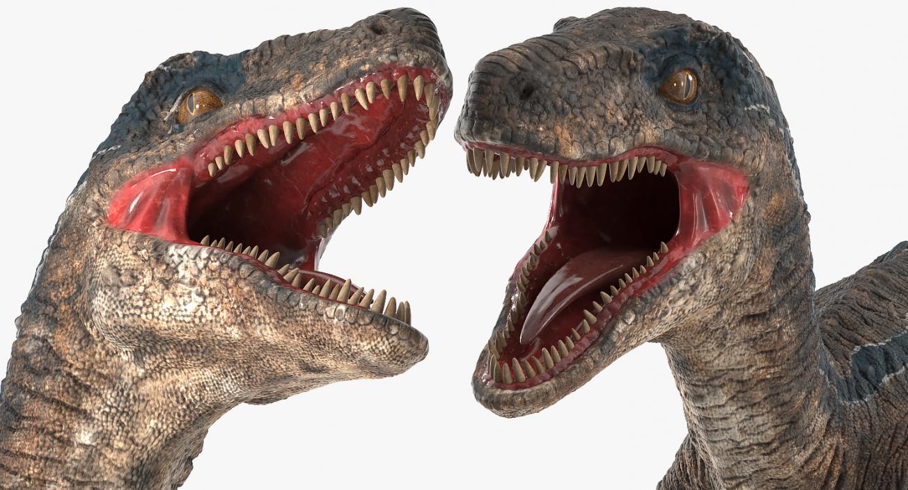 Velociraptor Attacking Pose 3D