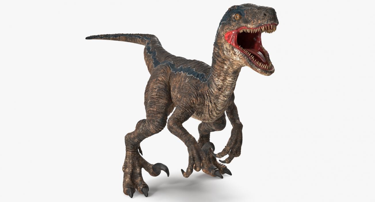 Velociraptor Attacking Pose 3D