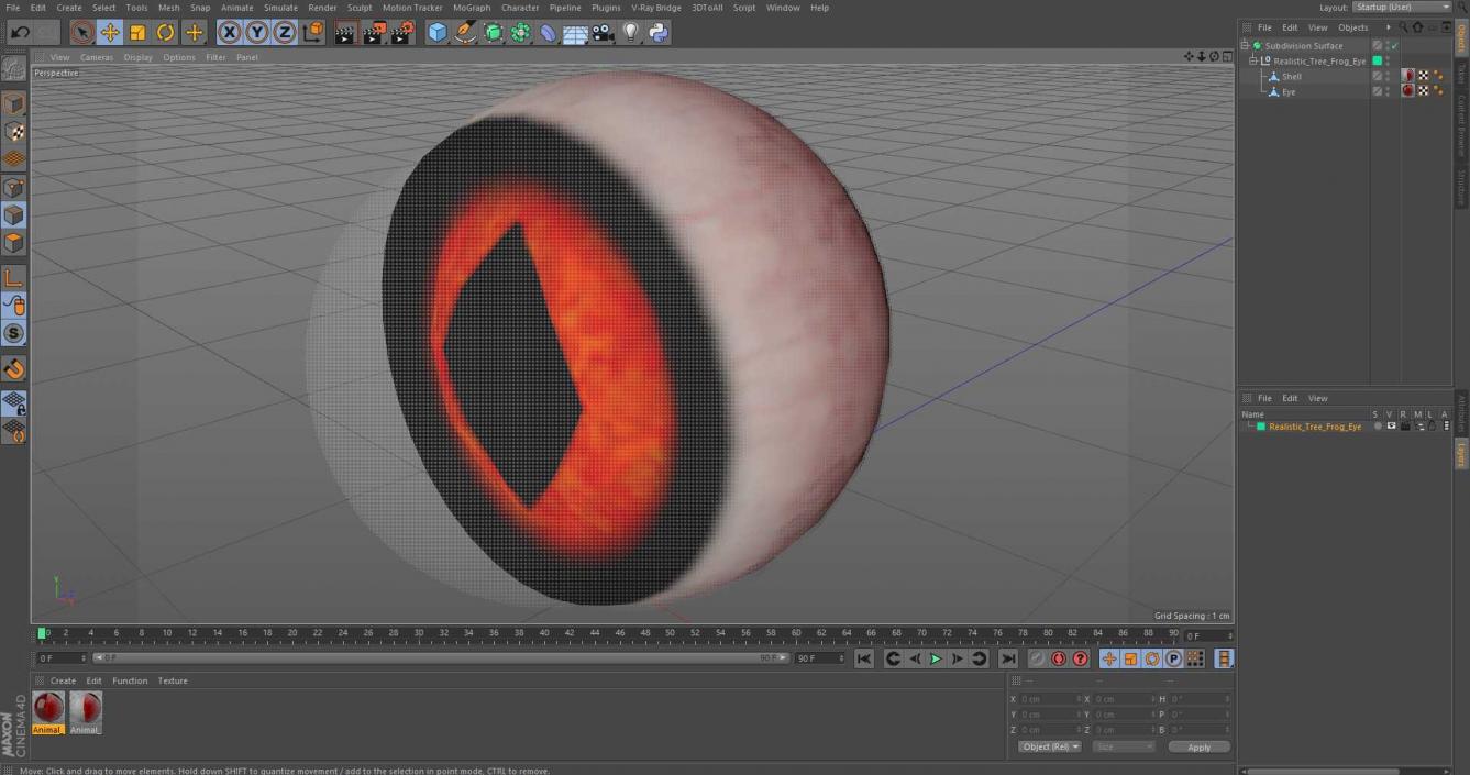 3D Realistic Tree Frog Eye model