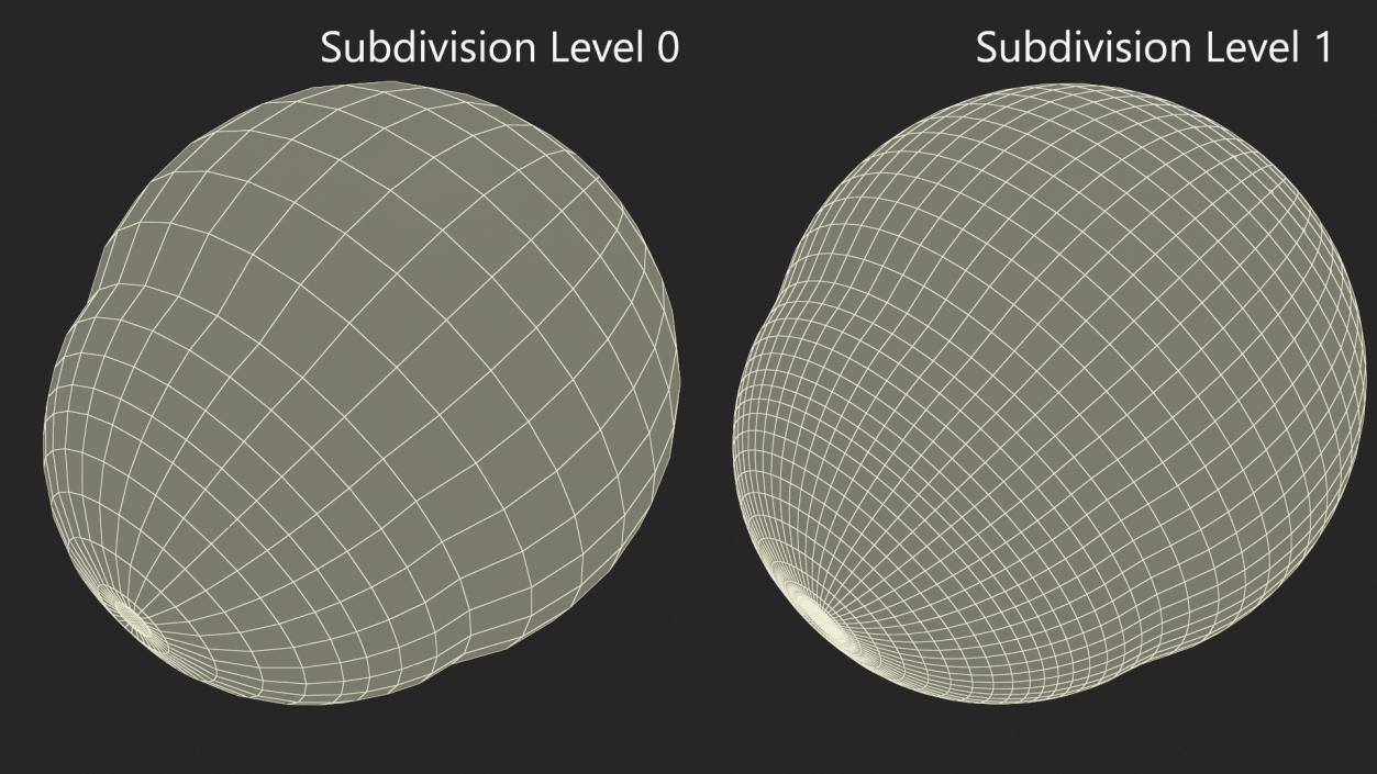 3D Realistic Tree Frog Eye model