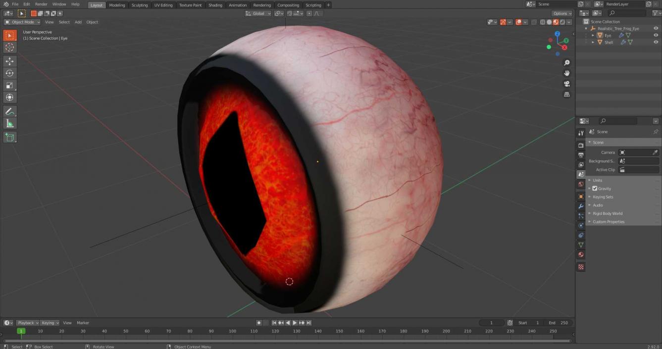 3D Realistic Tree Frog Eye model