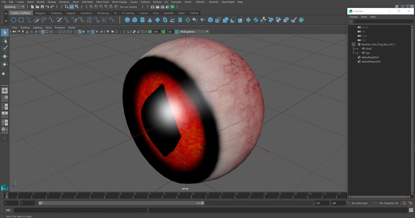 3D Realistic Tree Frog Eye model