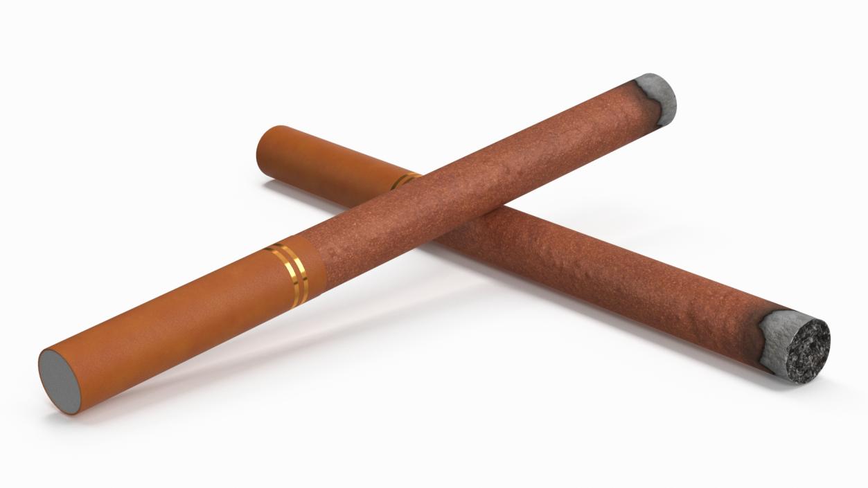 3D model Cigar Thin Lighted 2