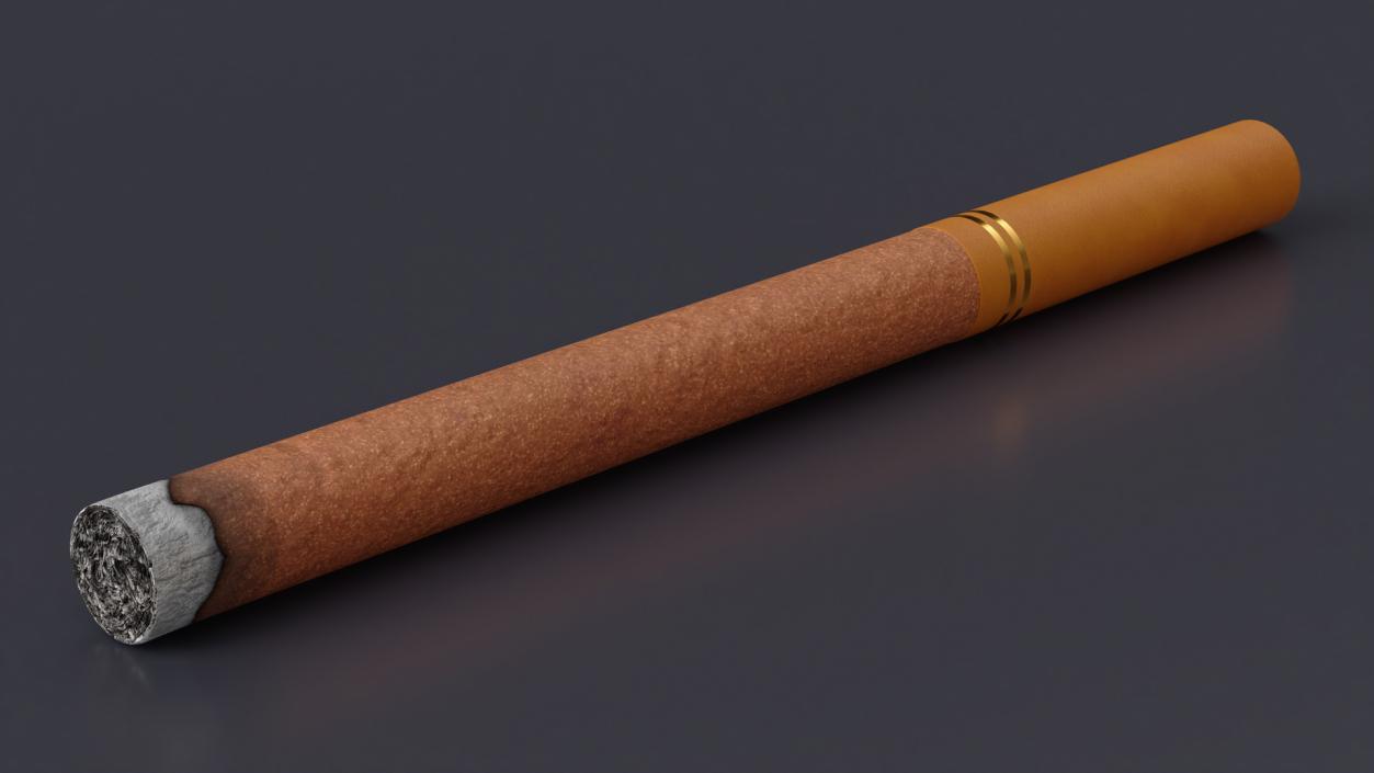 3D model Cigar Thin Lighted 2