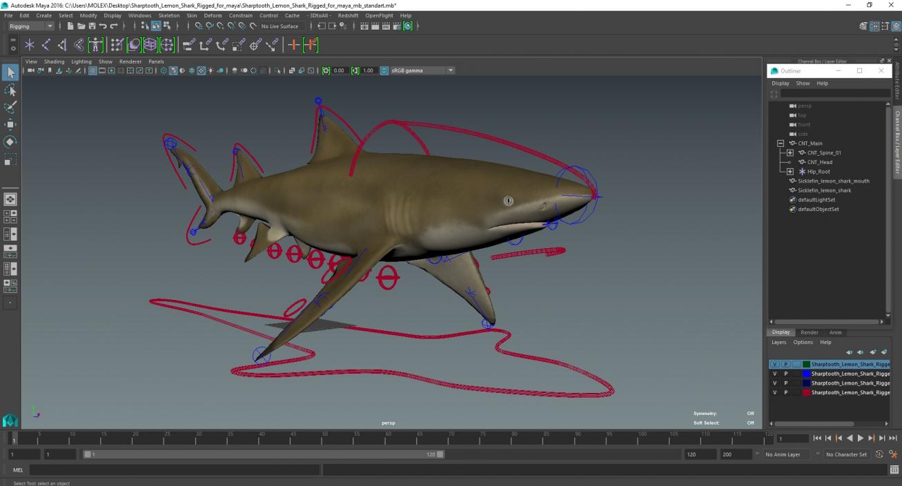 3D Sharptooth Lemon Shark Rigged for Maya model