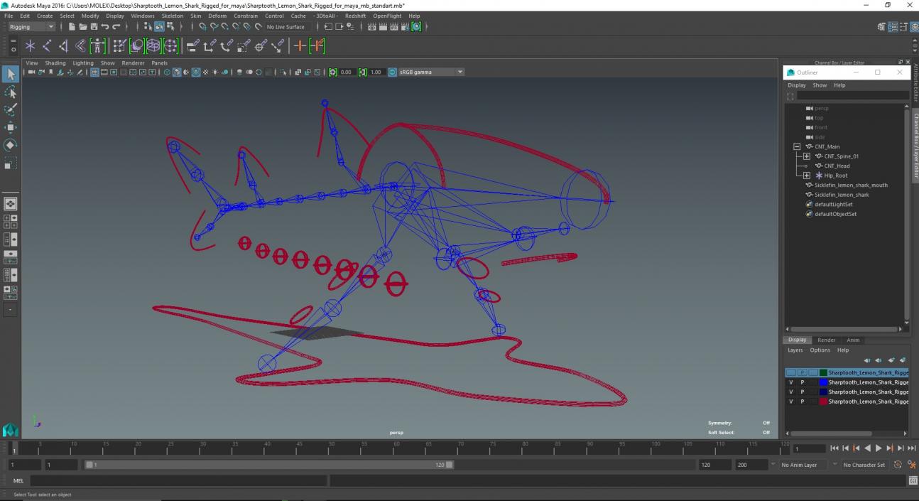 3D Sharptooth Lemon Shark Rigged for Maya model