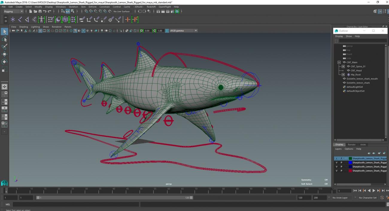 3D Sharptooth Lemon Shark Rigged for Maya model