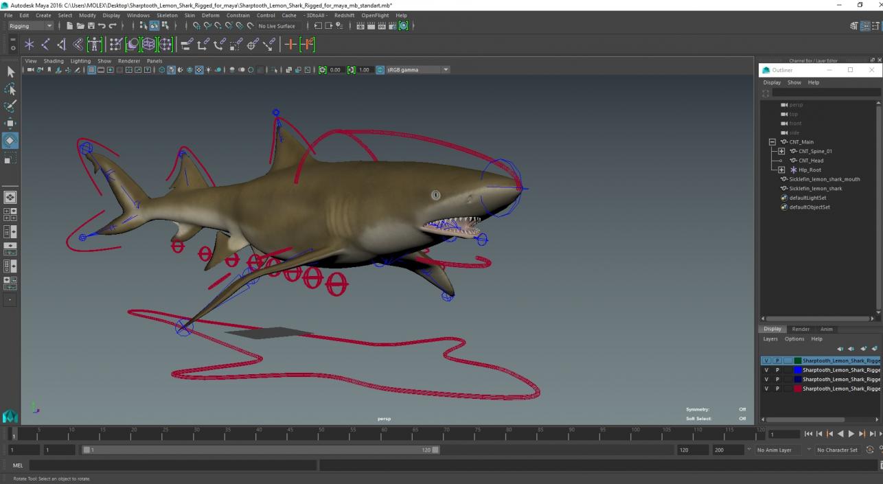 3D Sharptooth Lemon Shark Rigged for Maya model