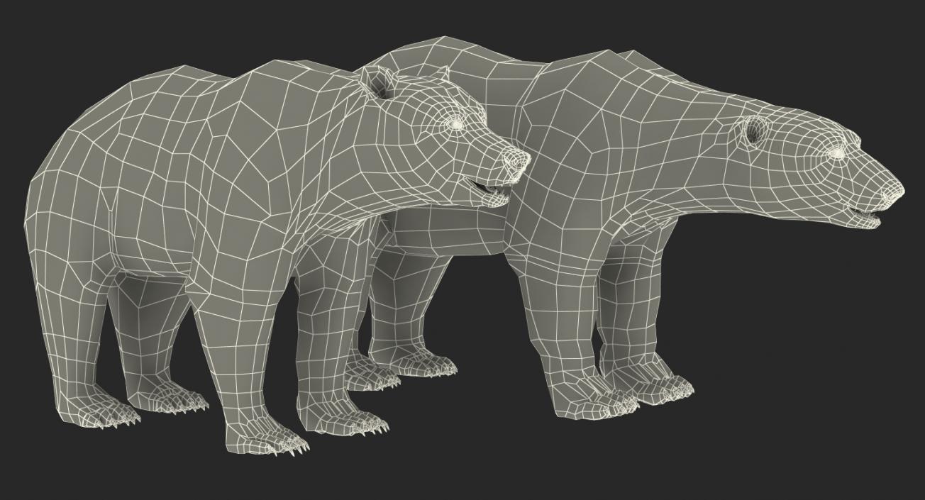 Brown and Polar Bears Collection 3D