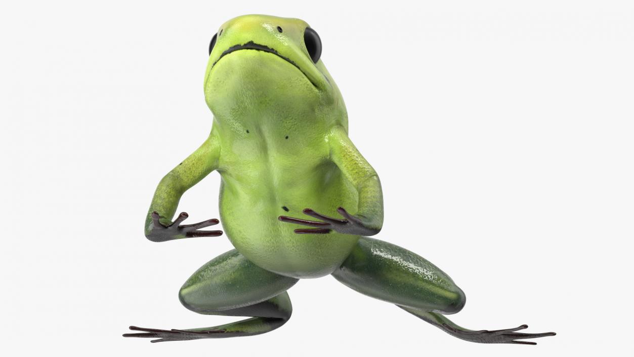 3D Poison Arrow Frog Green Morph Crawling Pose model