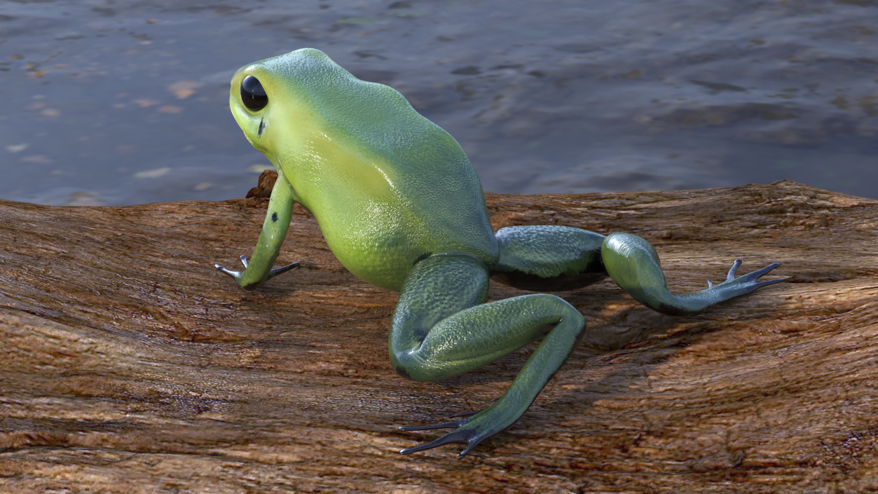 3D Poison Arrow Frog Green Morph Crawling Pose model