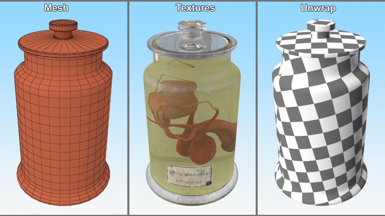 3D Male Genitalia in Old Glass Jar 2 model