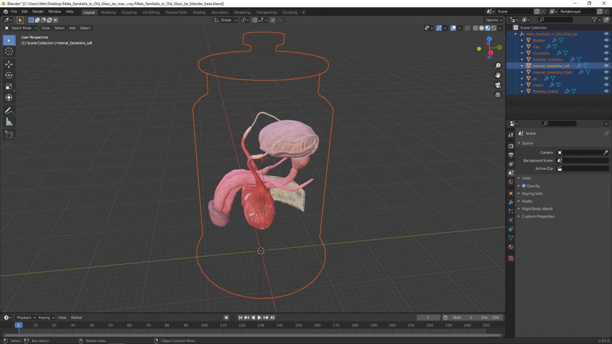 3D Male Genitalia in Old Glass Jar 2 model