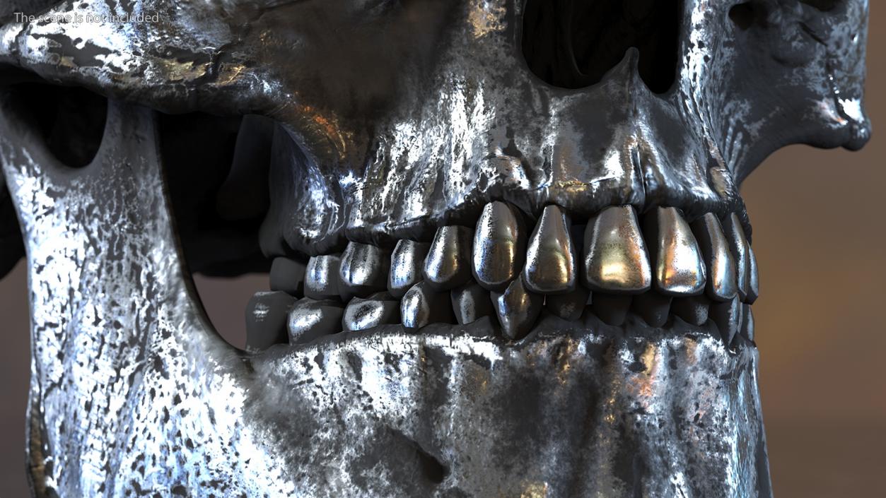 3D Male Skull Metal With Patina model