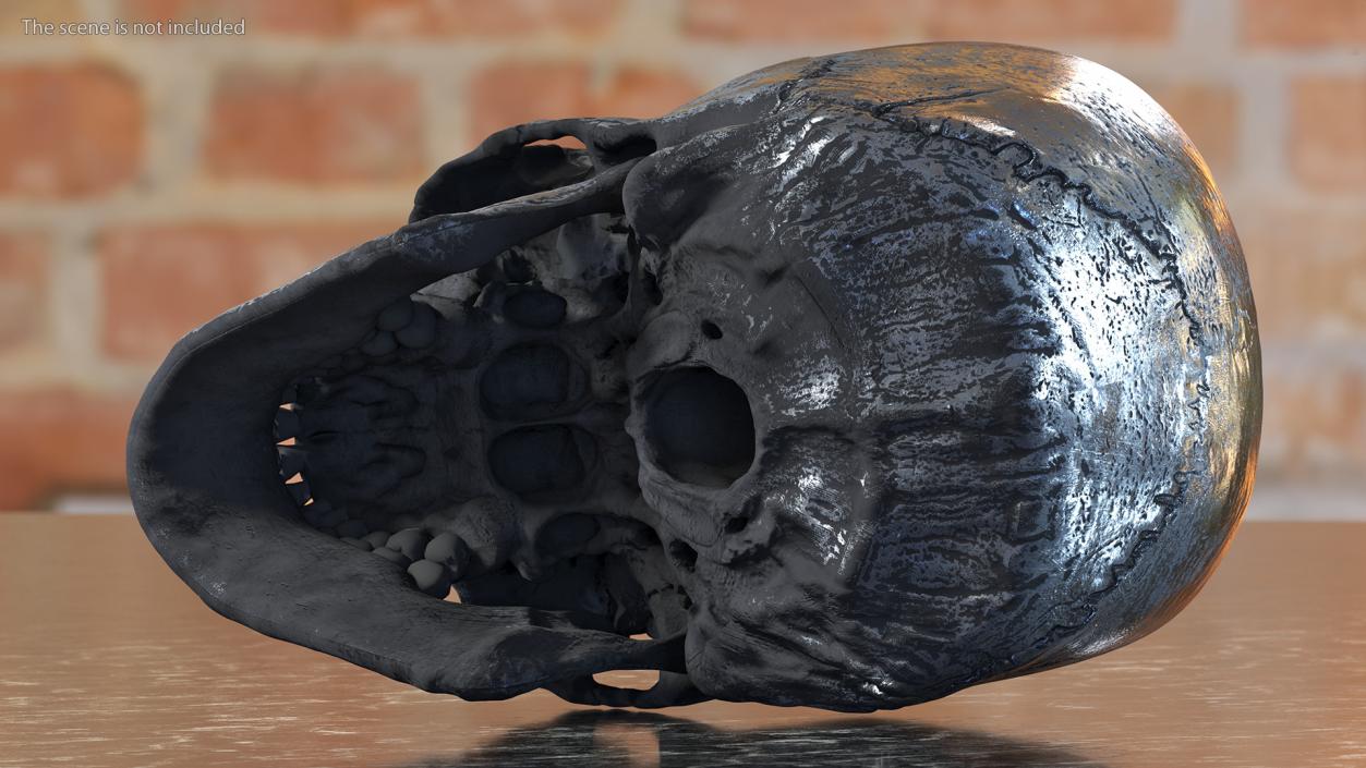 3D Male Skull Metal With Patina model