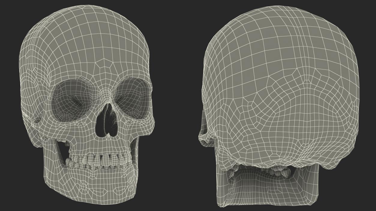 3D Male Skull Metal With Patina model