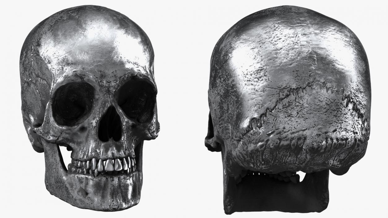 3D Male Skull Metal With Patina model