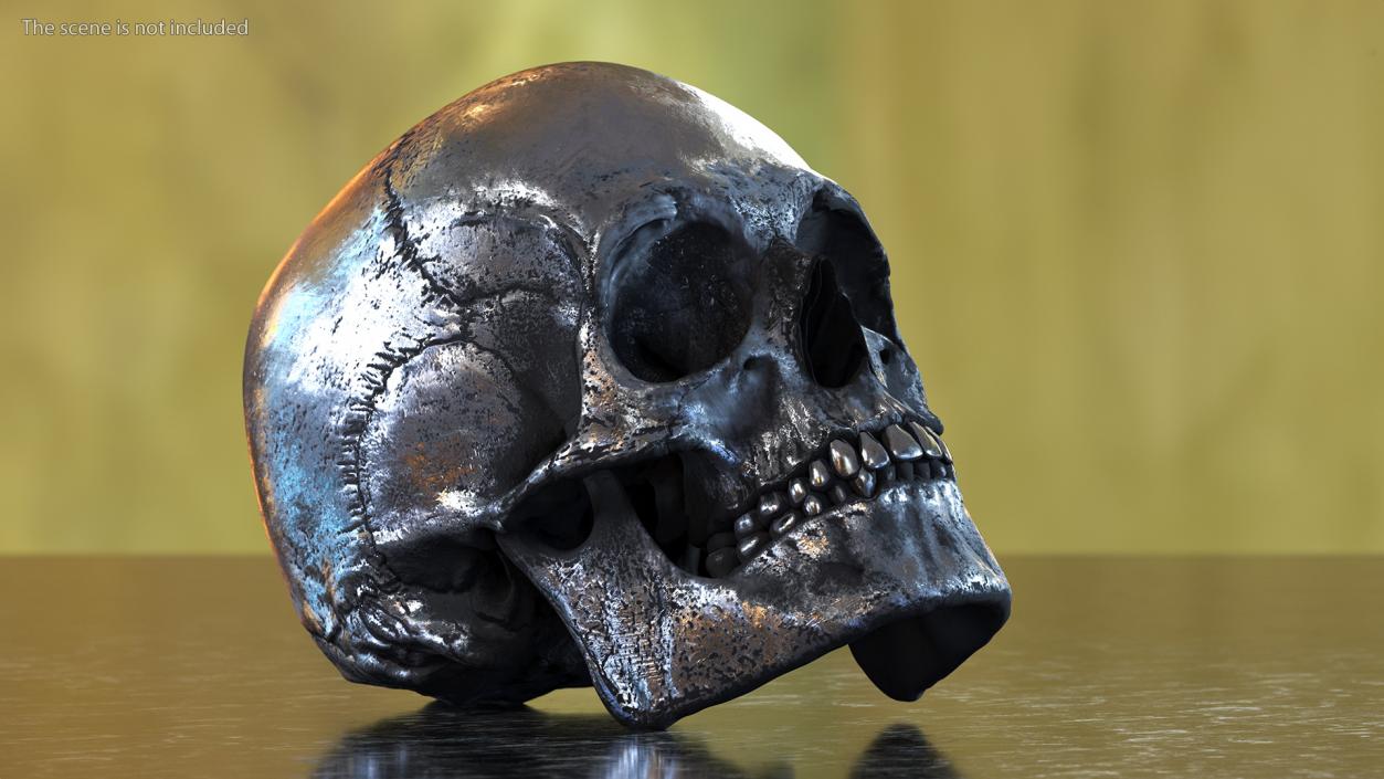 3D Male Skull Metal With Patina model