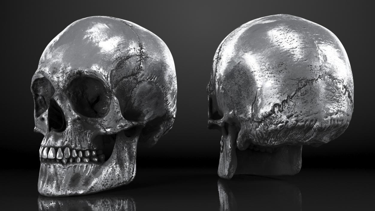 3D Male Skull Metal With Patina model