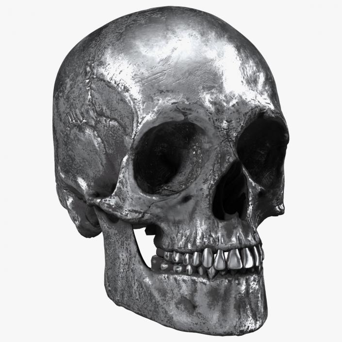 3D Male Skull Metal With Patina model