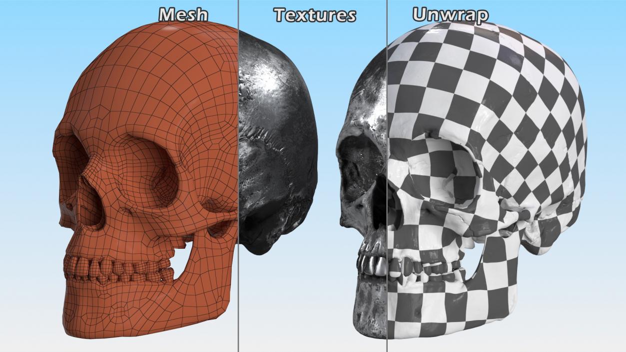 3D Male Skull Metal With Patina model