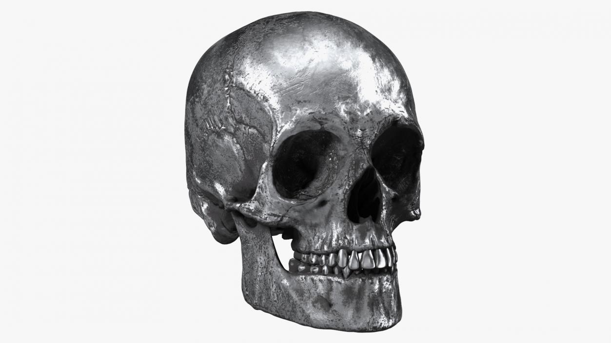 3D Male Skull Metal With Patina model