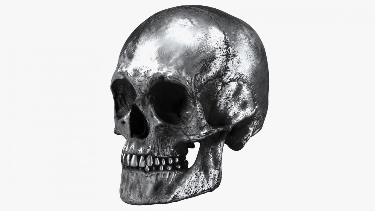 3D Male Skull Metal With Patina model