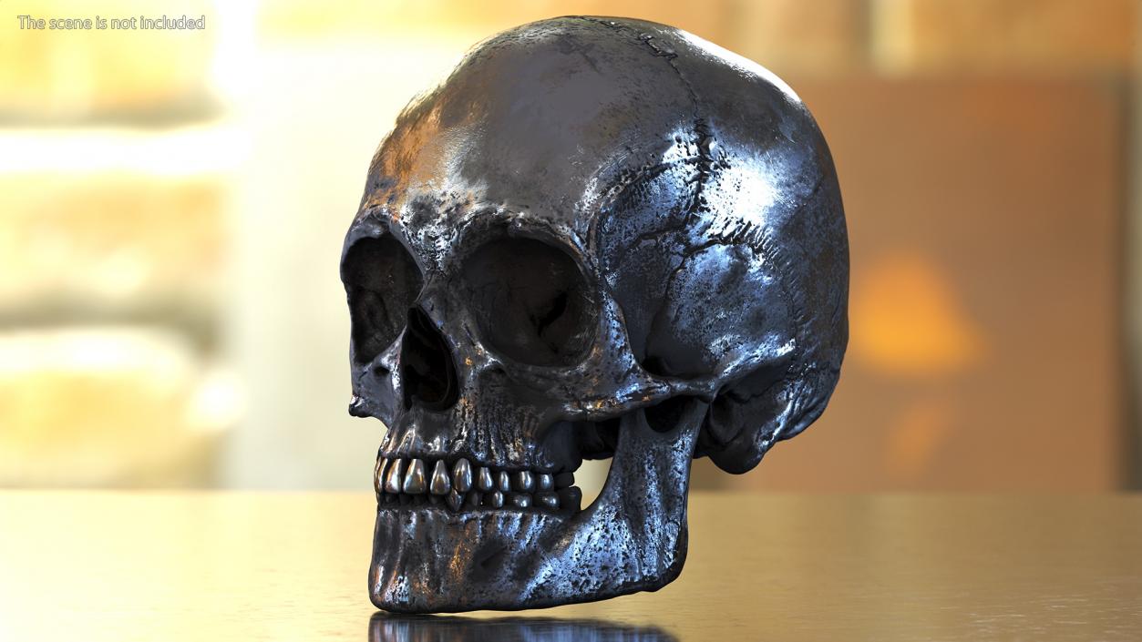 3D Male Skull Metal With Patina model