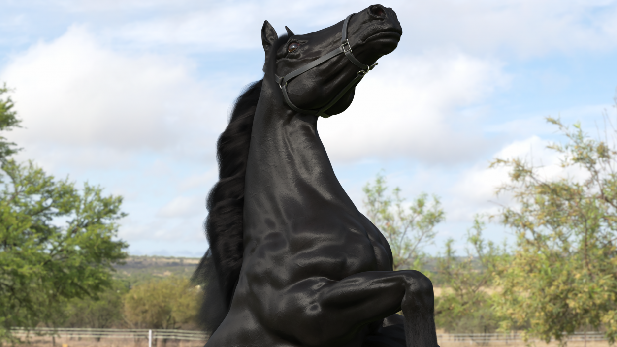 3D Bucking Friesian Horse Fur