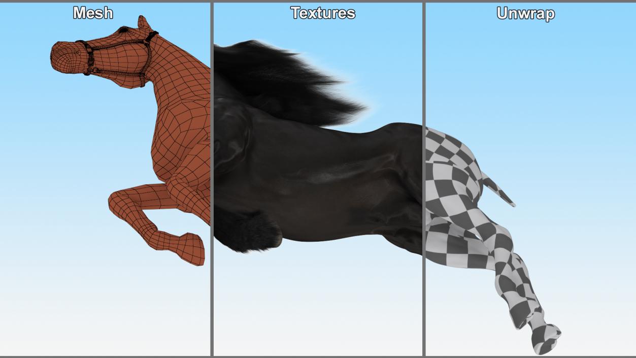 3D Bucking Friesian Horse Fur