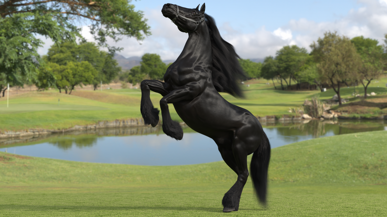 3D Bucking Friesian Horse Fur