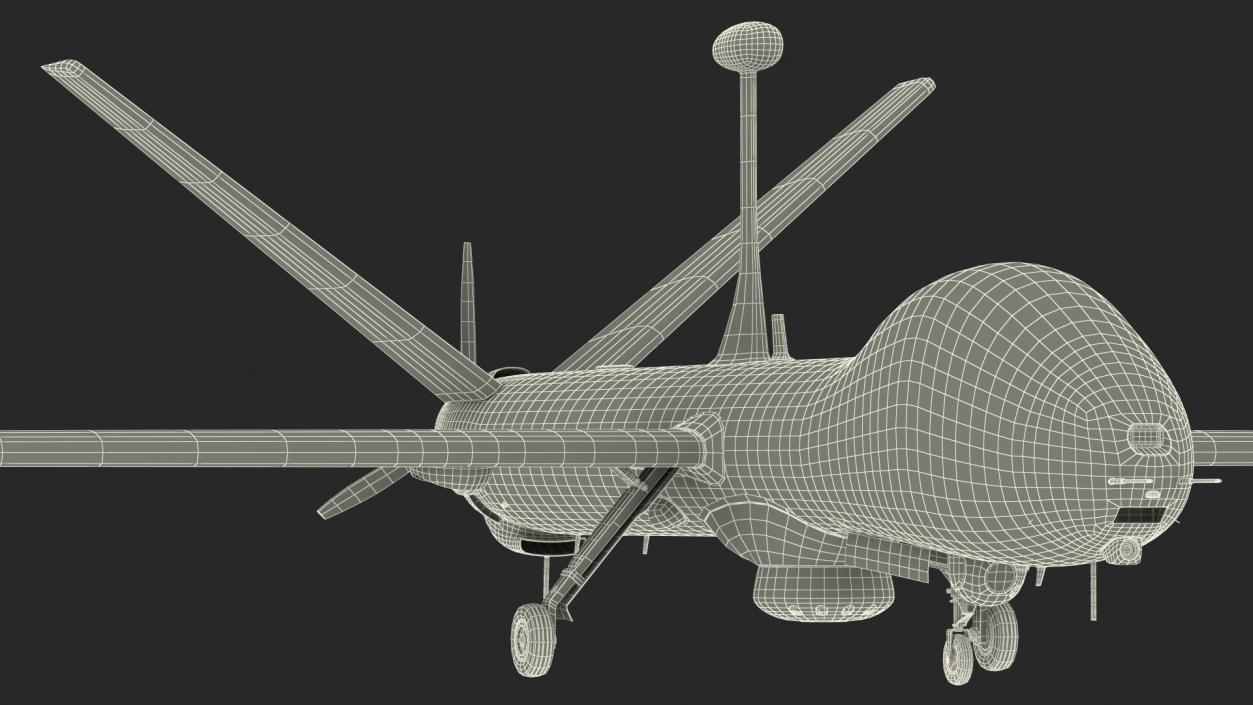 3D model Elbit Hermes 900 UAV