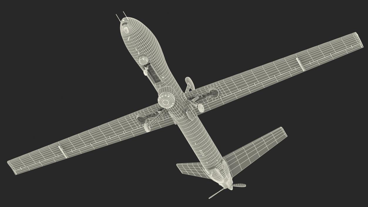 3D model Elbit Hermes 900 UAV