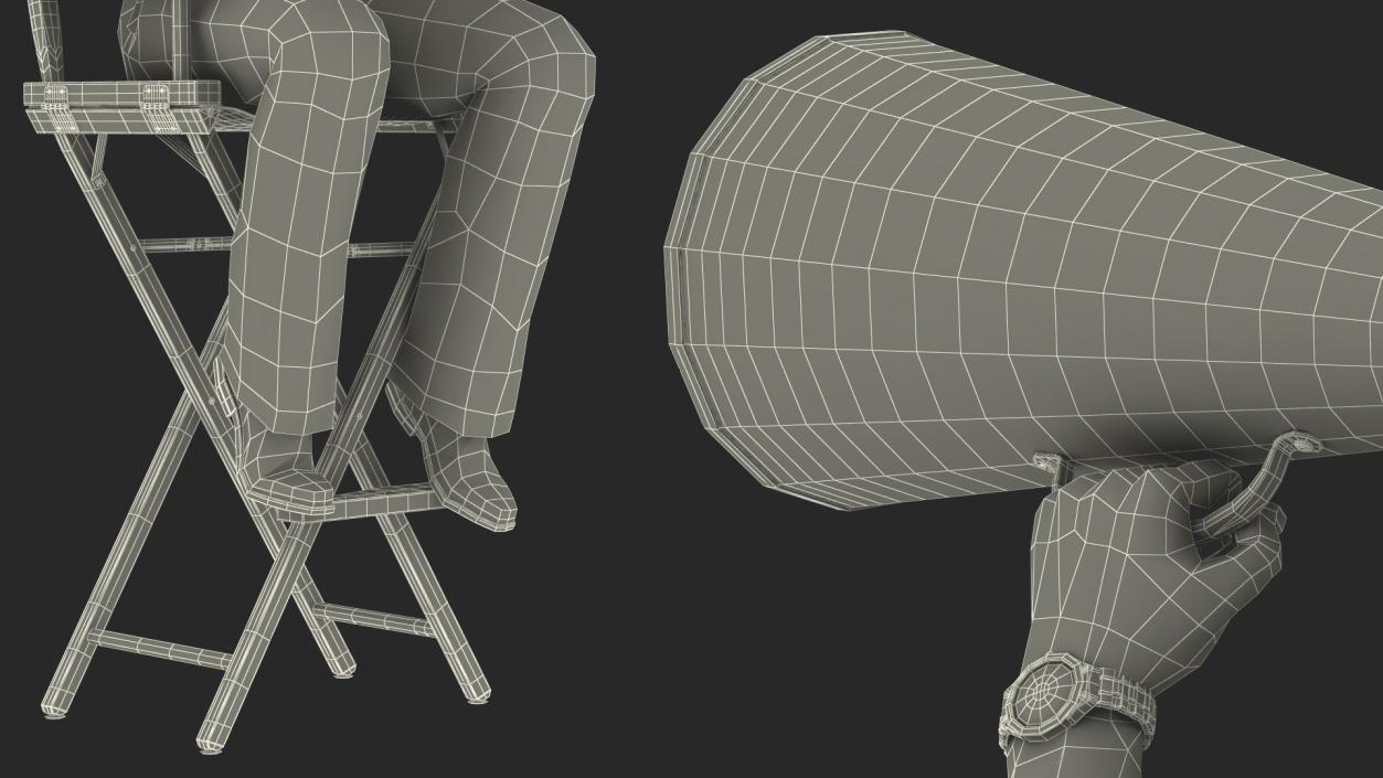 3D Movie Director on Tall Chair model