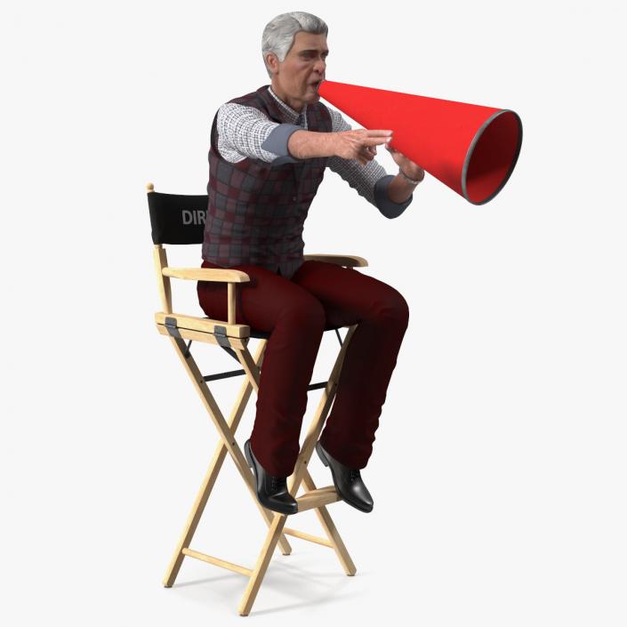 3D Movie Director on Tall Chair model