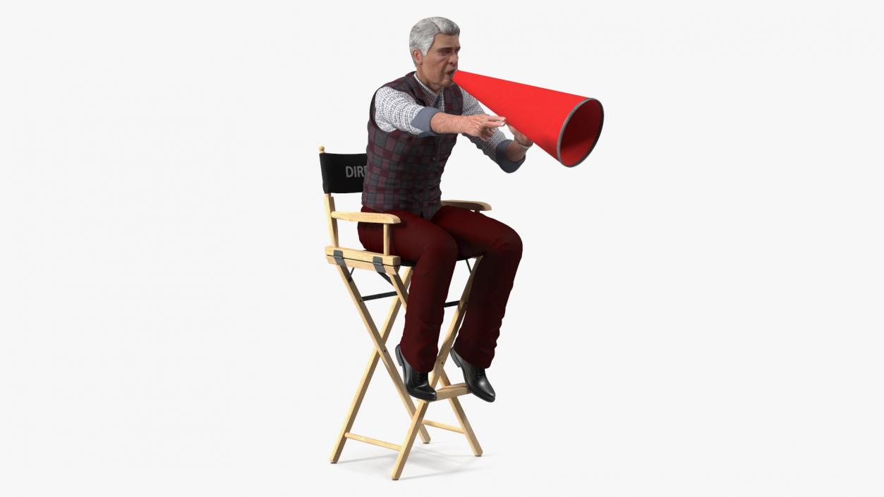 3D Movie Director on Tall Chair model