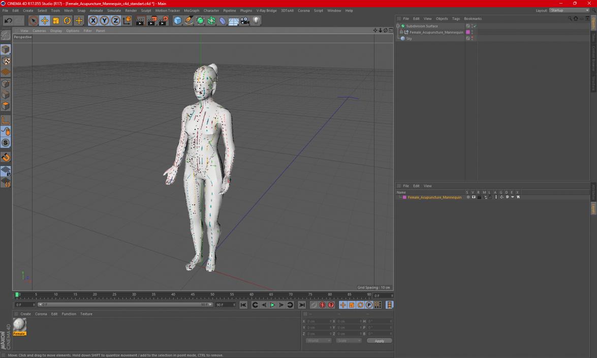 3D model Female Acupuncture Mannequin 2